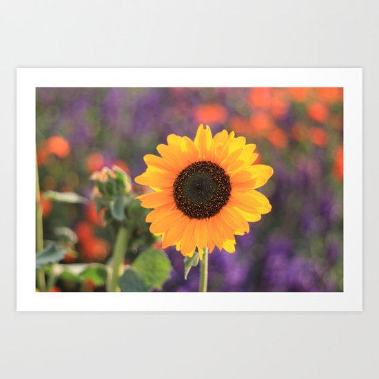 Golden Sun Art Print