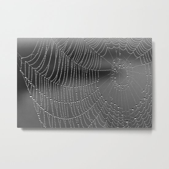 the web Metal Print