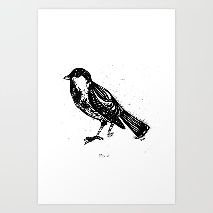 FIG.2: BROKEN SPARROW Art Print