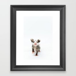 Baby Opossum Smile Framed Art Print