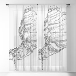 Snail Sketch Sheer Curtain