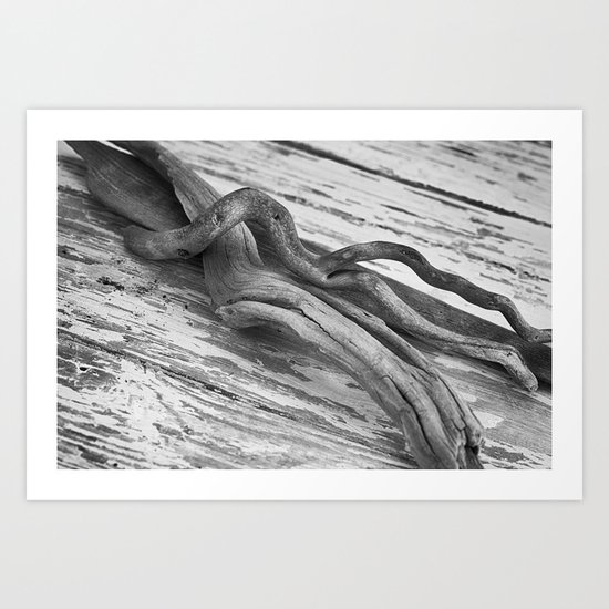 weathered driftwood black and white Art Print