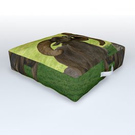 Entangled Horns - Desert Bighorn Rams Outdoor Floor Cushion
