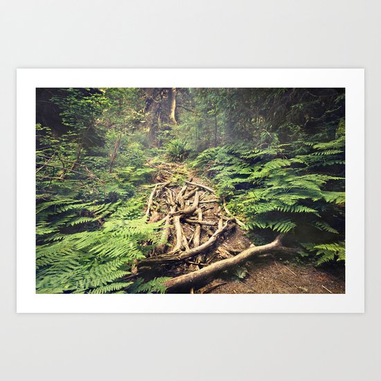 Misty Rainforest Art Print