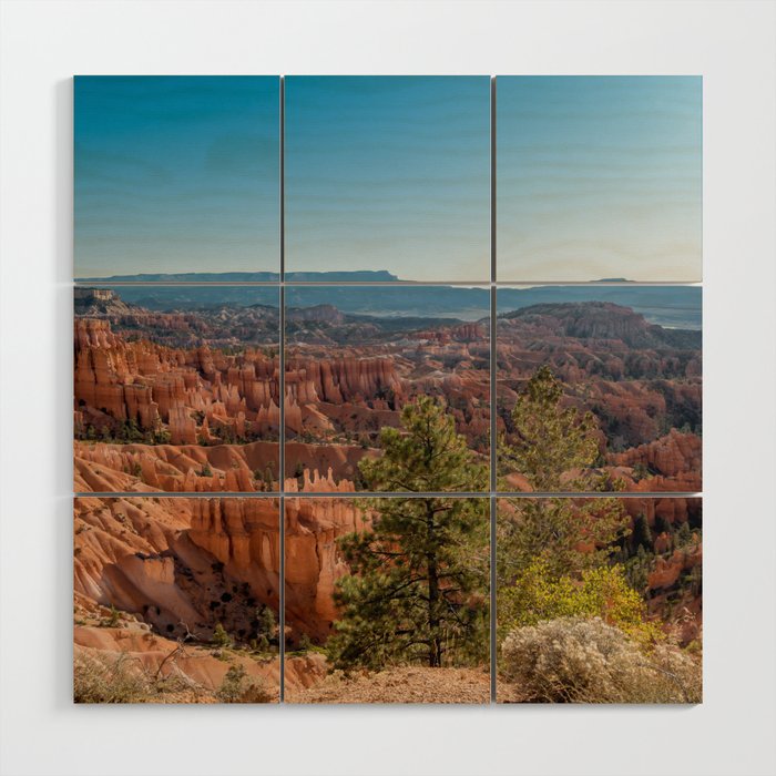 View over Bryce Canyon National Park Wood Wall Art