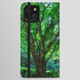 The Greenest Tree iPhone Wallet Case