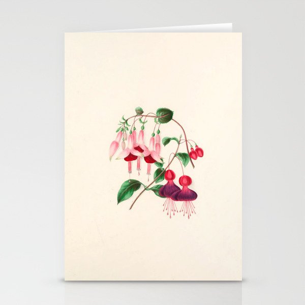 Fuchsia from "Floral Belles" by Clarissa Munger Badger, 1866 (benefitting The Nature Conservancy) Stationery Cards