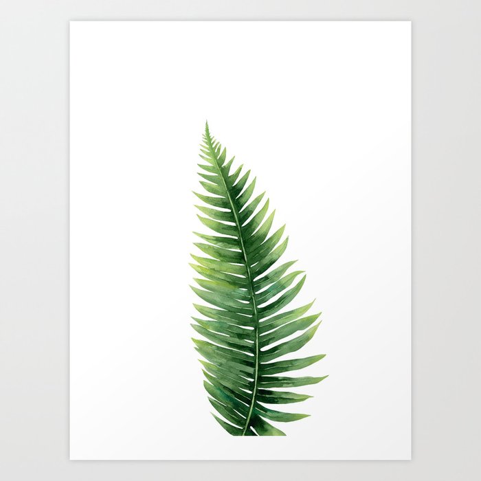 Discover the motif FERN. by Art by ASolo  as a print at TOPPOSTER