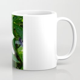 Beautiful Passion Flower With Garden Background  Coffee Mug