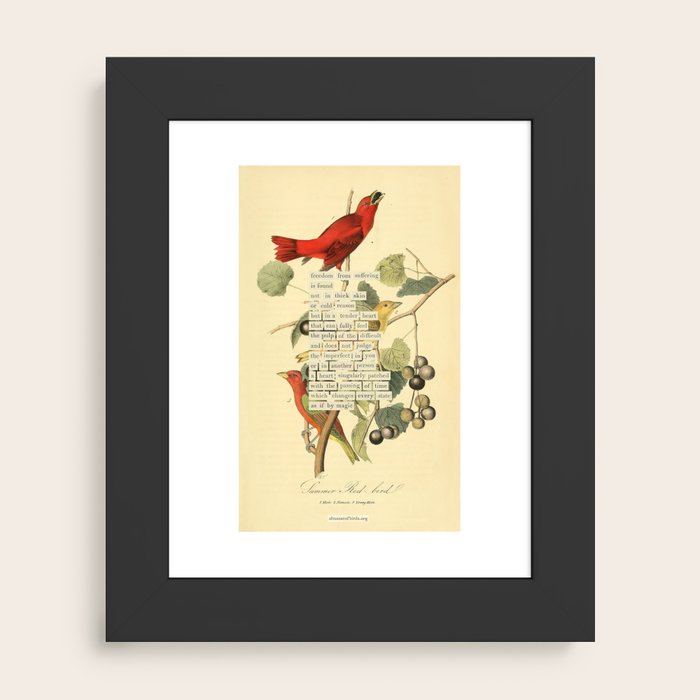 Framed Art Print
