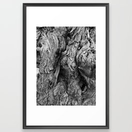 Black and white close up of the trunk of a vine. Framed Art Print