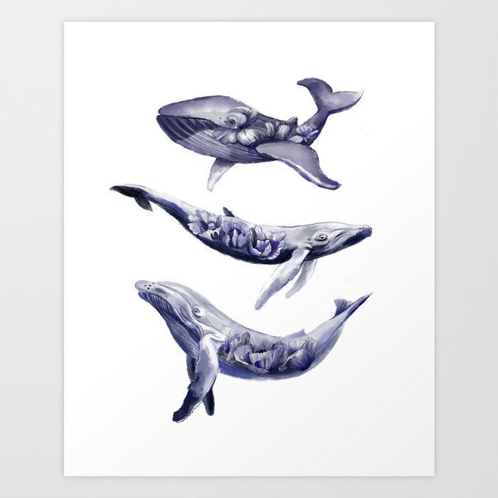 3 whales Art Print