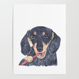 Dog dachshund badger brushing teeth bath watercolor Poster
