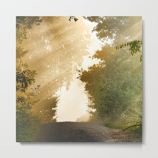 away-nature Metal Print