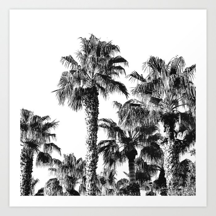 {2 of 2} Classic Palm Leaf Sky // Summer Black and White Palmtree Art Print Art Print