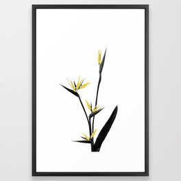 Flower Minimal Black and Gold ...