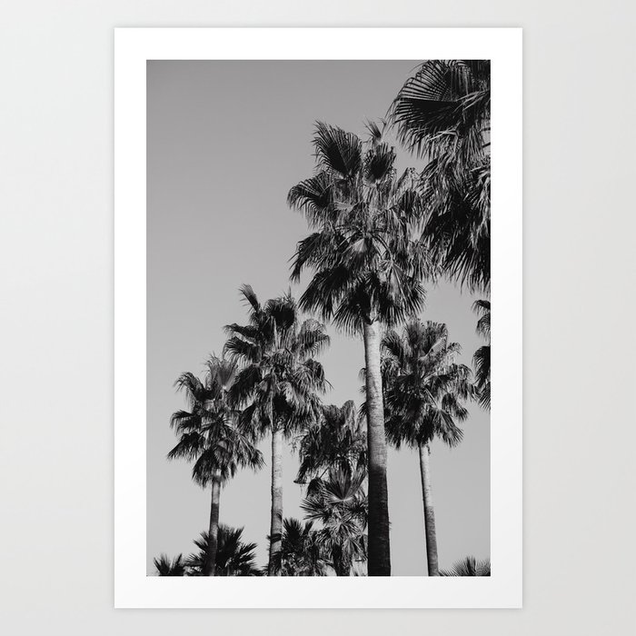Palm trees South Franch | Fine Art Travel Print Art Print