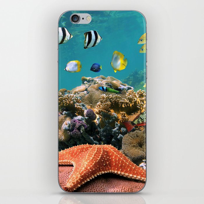 fish iPhone Skin