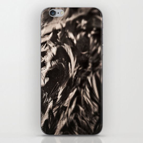 It is Not Only Fine Feathers That Make Fine Birds iPhone & iPod Skin