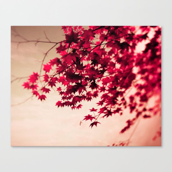 Fall Leaves Canvas Print