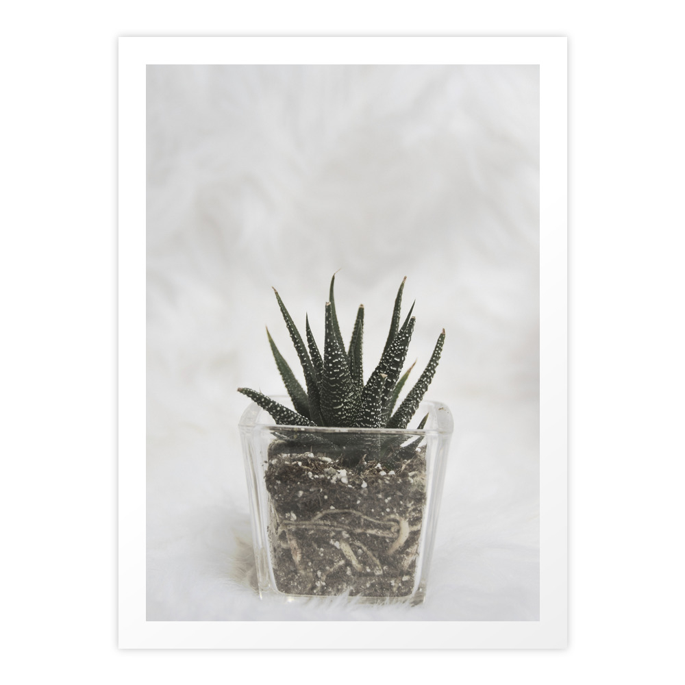 Sweet Cactus 3 Art Print by kikicastel