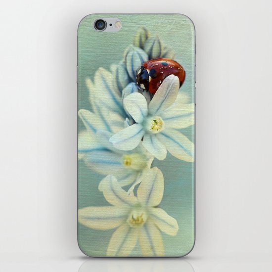Ladybirds iPhone & iPod Skin