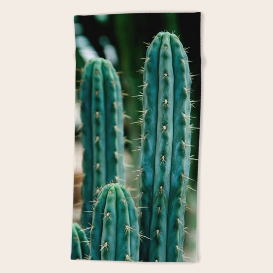 Cactus 04 Beach Towel