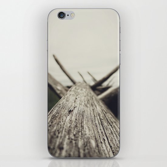 wood iPhone & iPod Skin