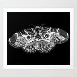 Brahmin Moth Inverted Art Print