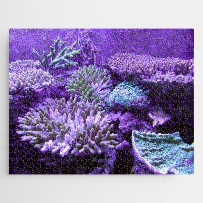 Coral Reef 3 Jigsaw Puzzle