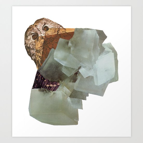 Cryptic Art Print
