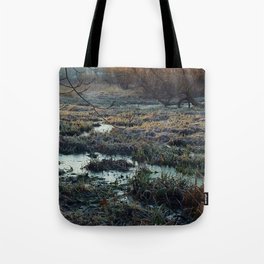 Is This What We've Seen All Along? Tote Bag