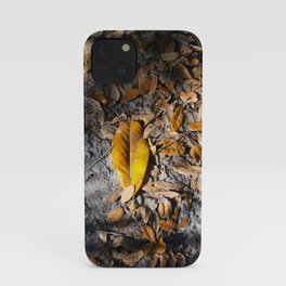 Evening Leaves Fallen on the Path . . .  iPhone Case