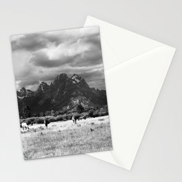 Horse and Grand Teton (Black and White) Stationery Cards