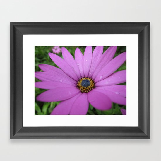 Purple Framed Art Print
