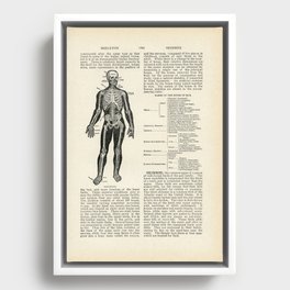 Vintage Dictionary Page Anatomy Skeleton  Framed Canvas