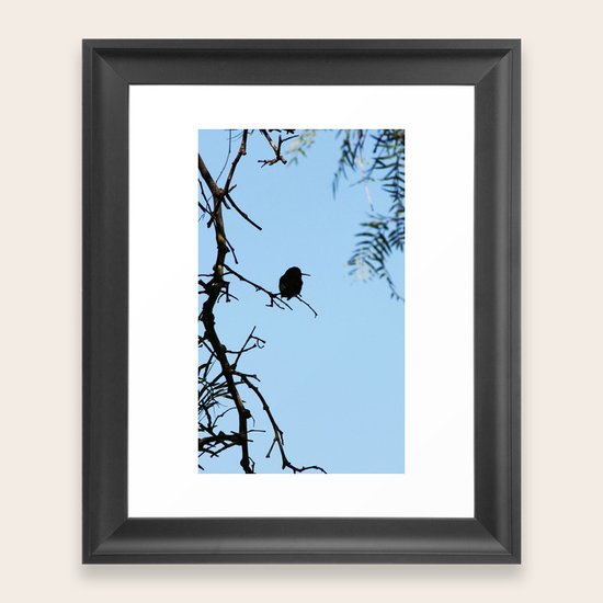 Birds Framed Art Print