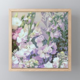 Blooming Lavender Framed Mini Art Print