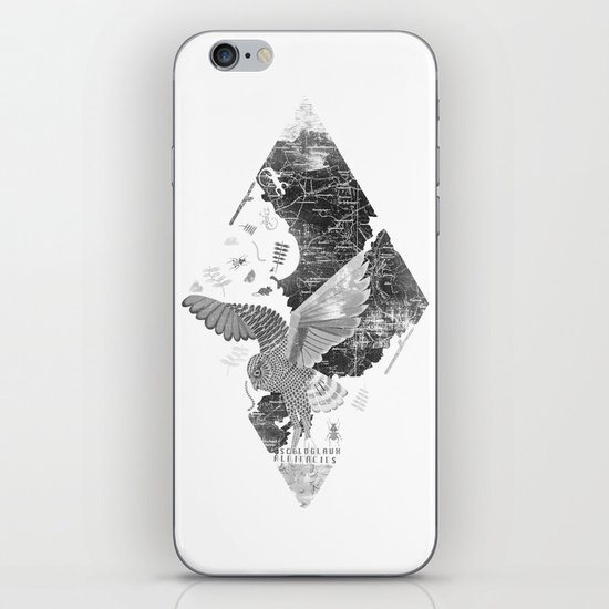 OWL MAP iPhone & iPod Skin