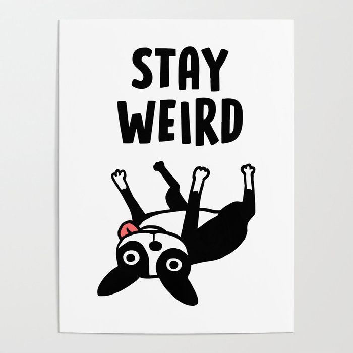 Stay Weird - Funny Boston Terrier Dog Poster