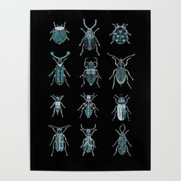 Bugs study Poster