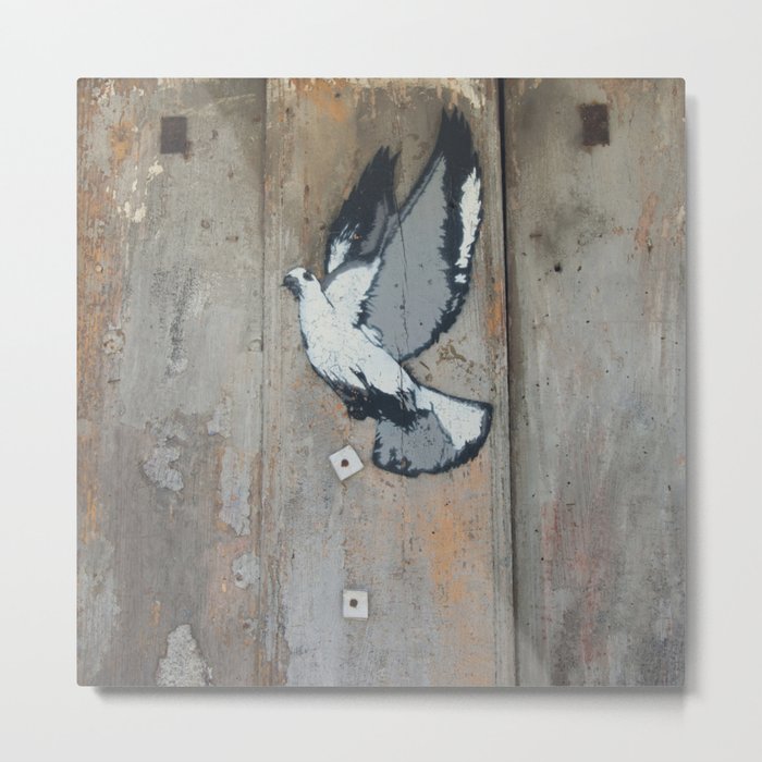 wood pigeon Metal Print