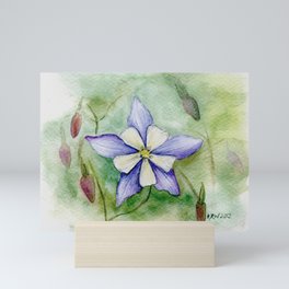 Blue Columbine Mini Art Print