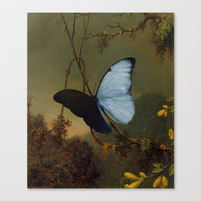 Canvas Print