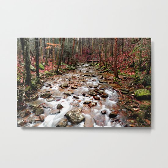 Panther Branch Trail Head Metal Print