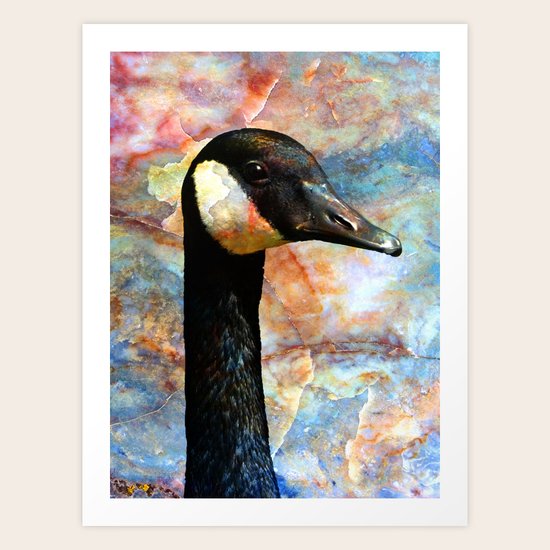 Goosed Art Print
