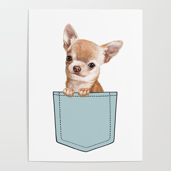 Chihuahua in Pocket Poster