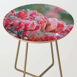 Frosted Dogwood Side Table