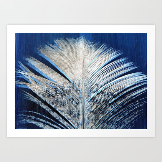 Feather | Feathers | Spiritual | White and Blue Feather | Nature Art Print