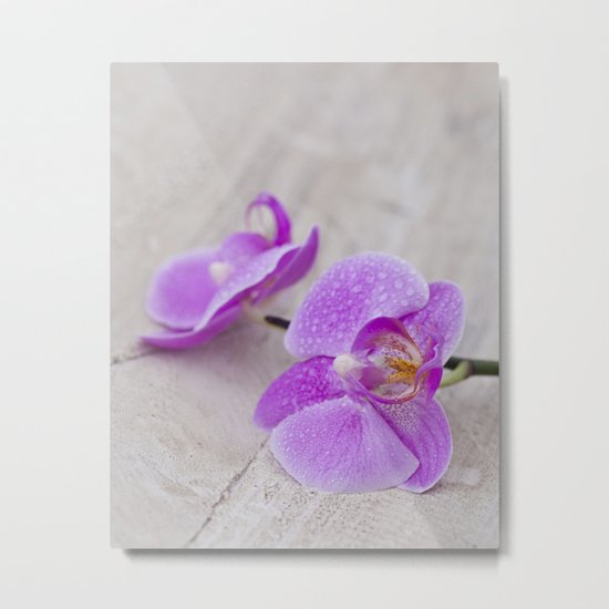 pink orchid flower close up water drops Metal Print